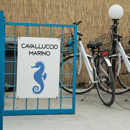 Cavalluccio Marino Appartement Favignana Buitenkant foto